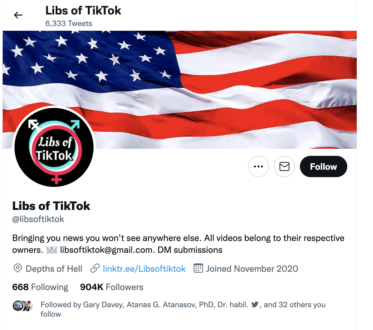 A different twist on Twitter user Libs of TikTok